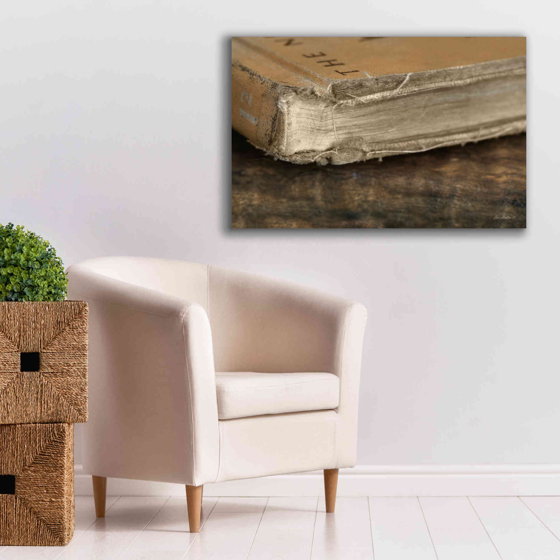 'Well Read' by Lori Deiter, Canvas Wall Art,40 x 26