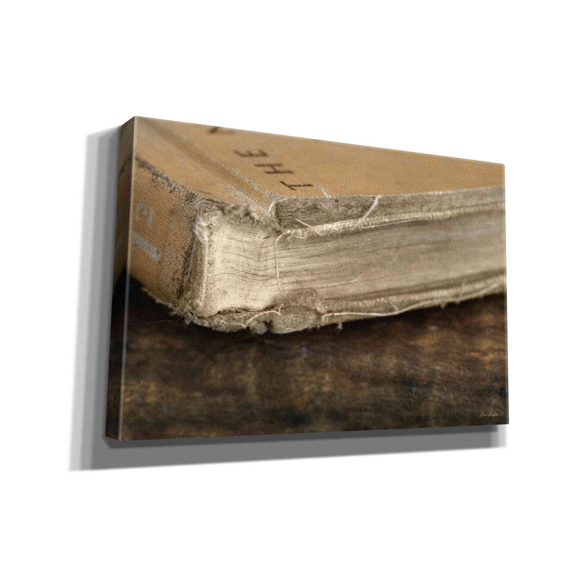'Well Read' by Lori Deiter, Canvas Wall Art