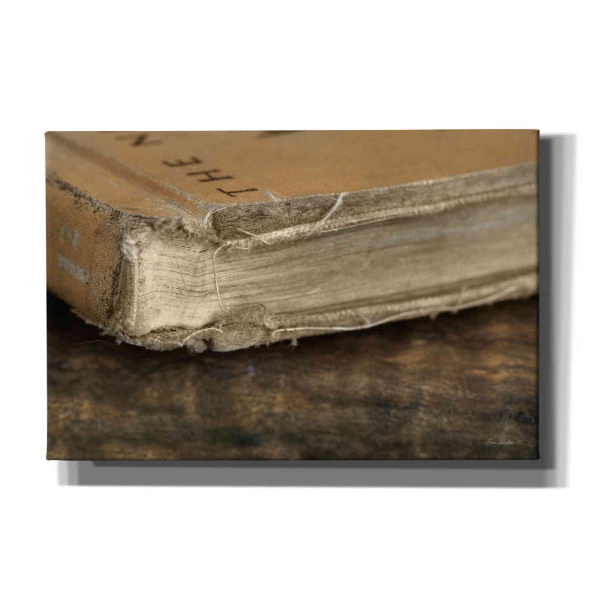 'Well Read' by Lori Deiter, Canvas Wall Art