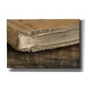 'Well Read' by Lori Deiter, Canvas Wall Art
