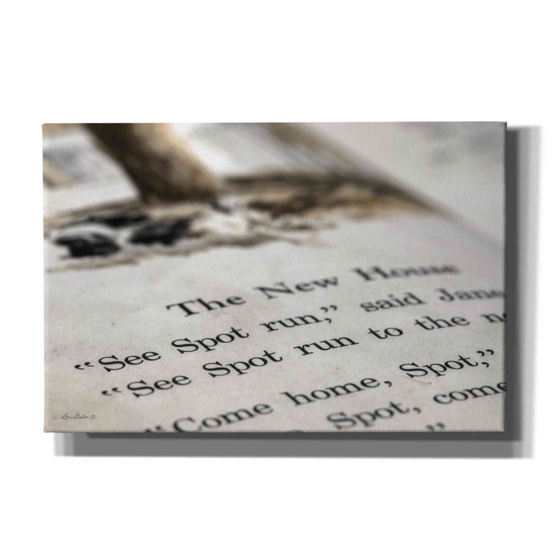 'See Spot Run' by Lori Deiter, Canvas Wall Art