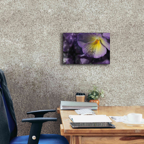 Image of 'Purple Pansy' by Lori Deiter, Canvas Wall Art,18 x 12