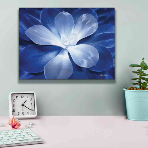 Image of 'Blue Succulent II' by Lori Deiter, Canvas Wall Art,16 x 12