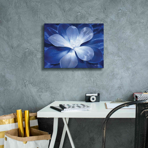 Image of 'Blue Succulent II' by Lori Deiter, Canvas Wall Art,16 x 12