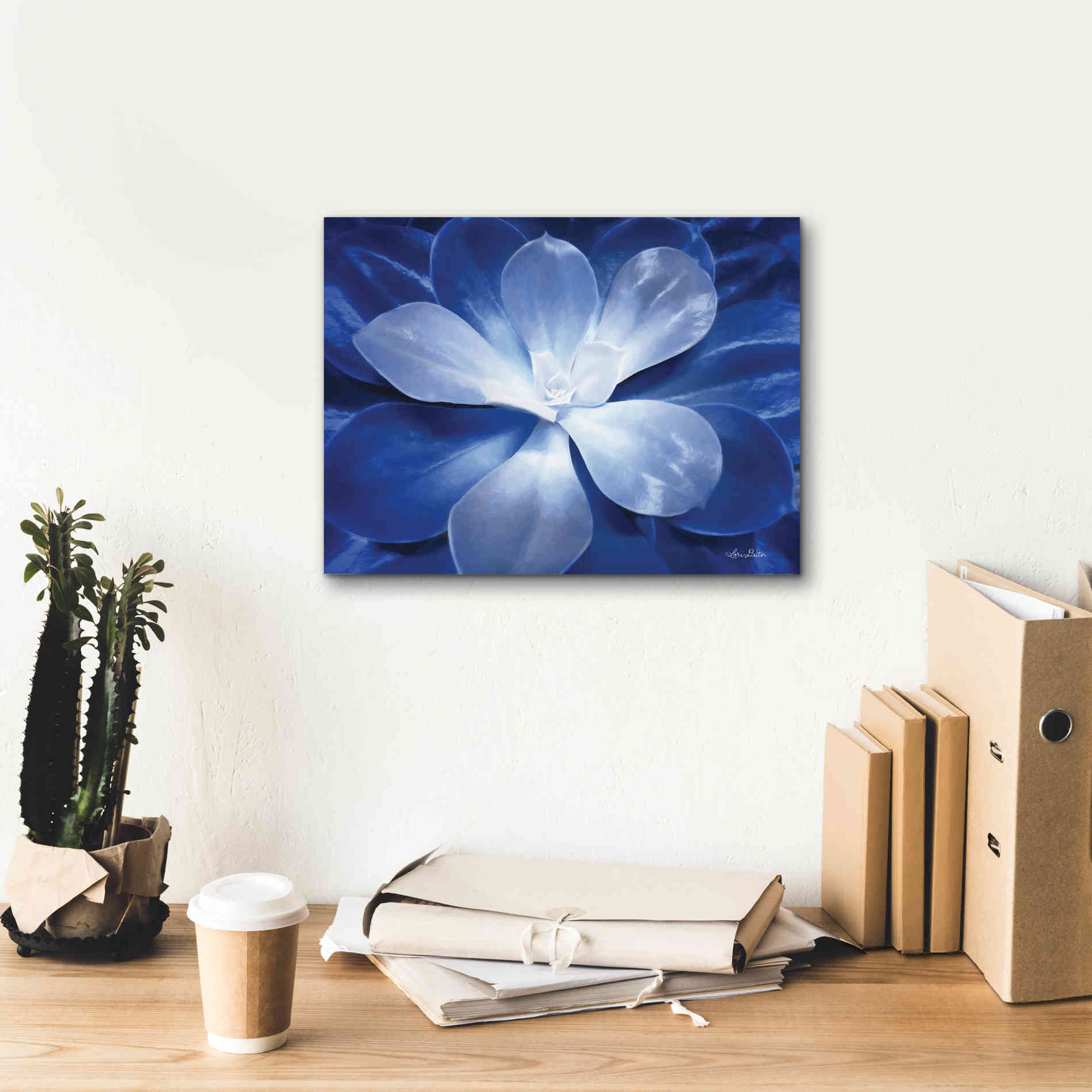 'Blue Succulent II' by Lori Deiter, Canvas Wall Art,16 x 12