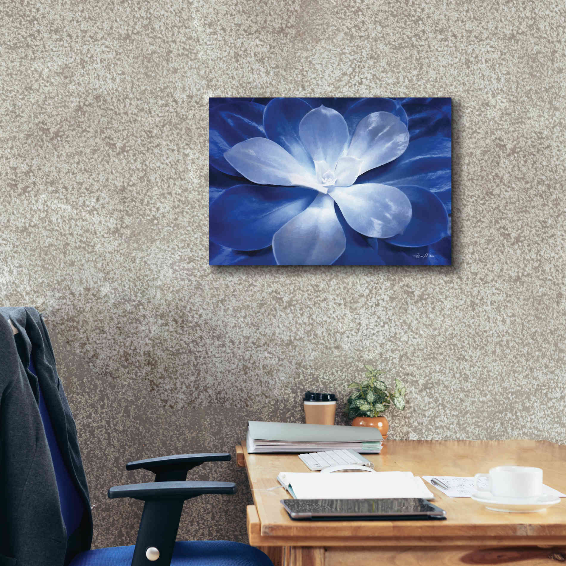 'Blue Succulent II' by Lori Deiter, Canvas Wall Art,26 x 18