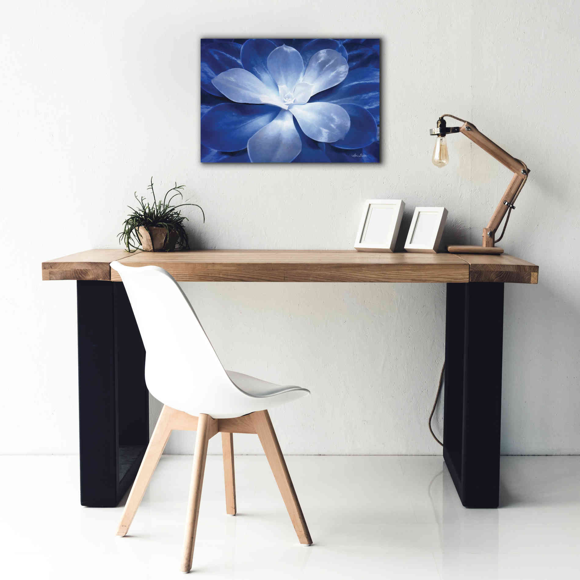 'Blue Succulent II' by Lori Deiter, Canvas Wall Art,26 x 18