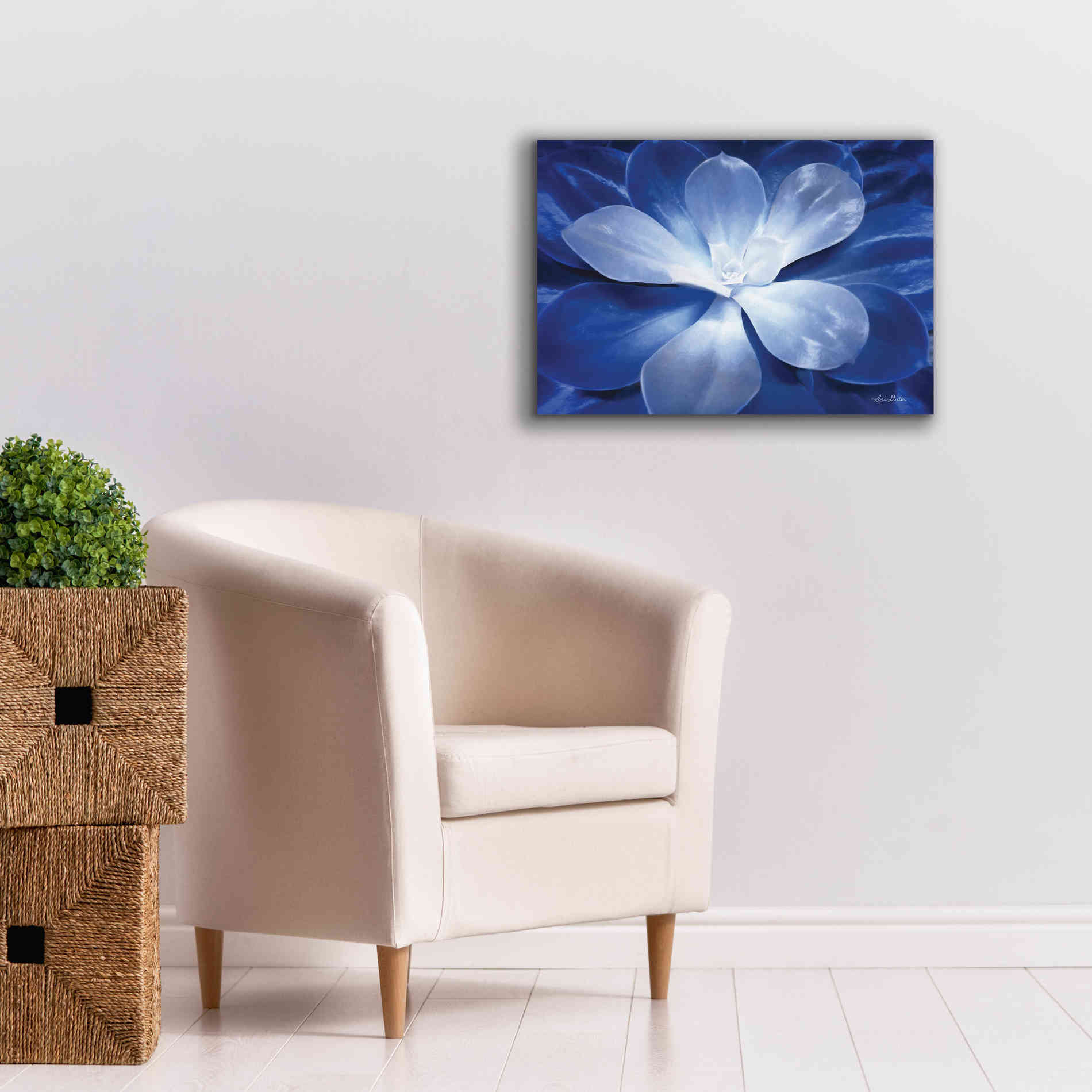 'Blue Succulent II' by Lori Deiter, Canvas Wall Art,26 x 18