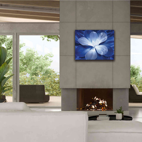 Image of 'Blue Succulent II' by Lori Deiter, Canvas Wall Art,34 x 26