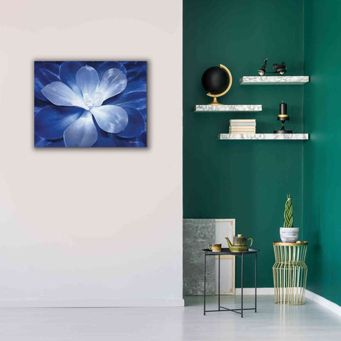 Image of 'Blue Succulent II' by Lori Deiter, Canvas Wall Art,34 x 26