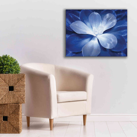 Image of 'Blue Succulent II' by Lori Deiter, Canvas Wall Art,34 x 26