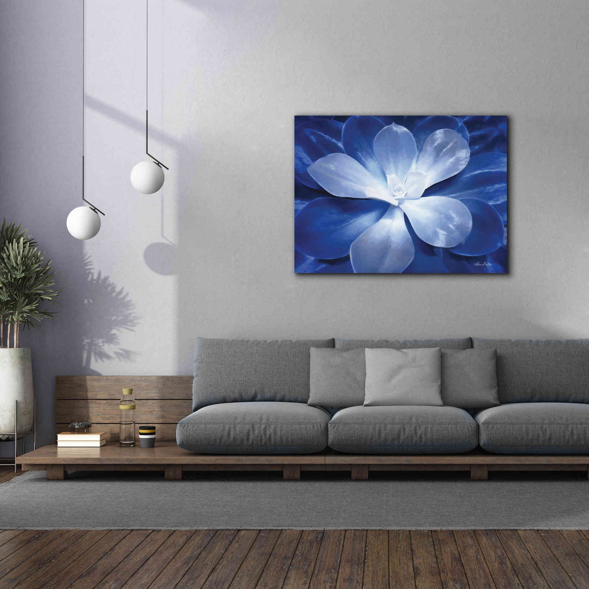 'Blue Succulent II' by Lori Deiter, Canvas Wall Art,54 x 40