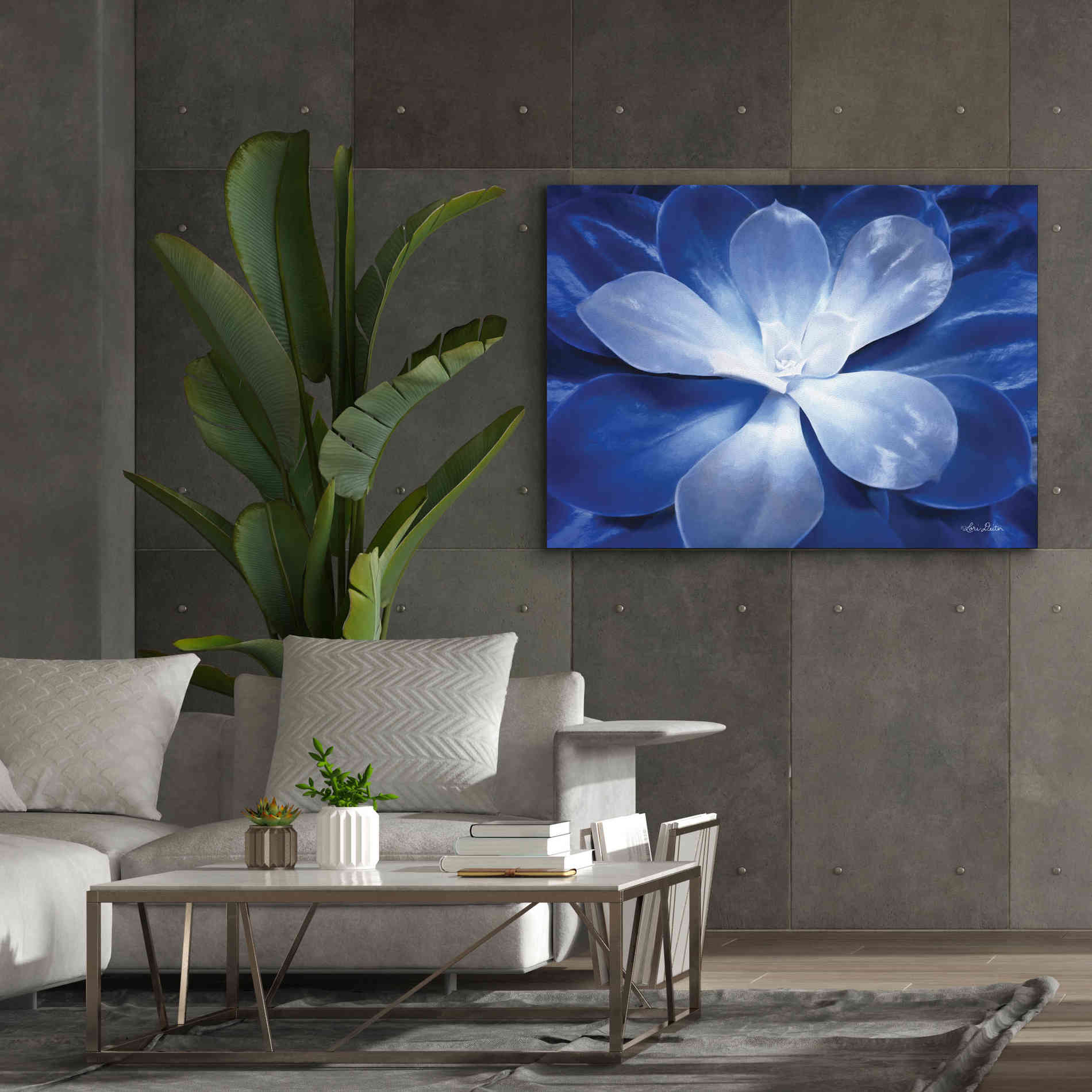 'Blue Succulent II' by Lori Deiter, Canvas Wall Art,54 x 40