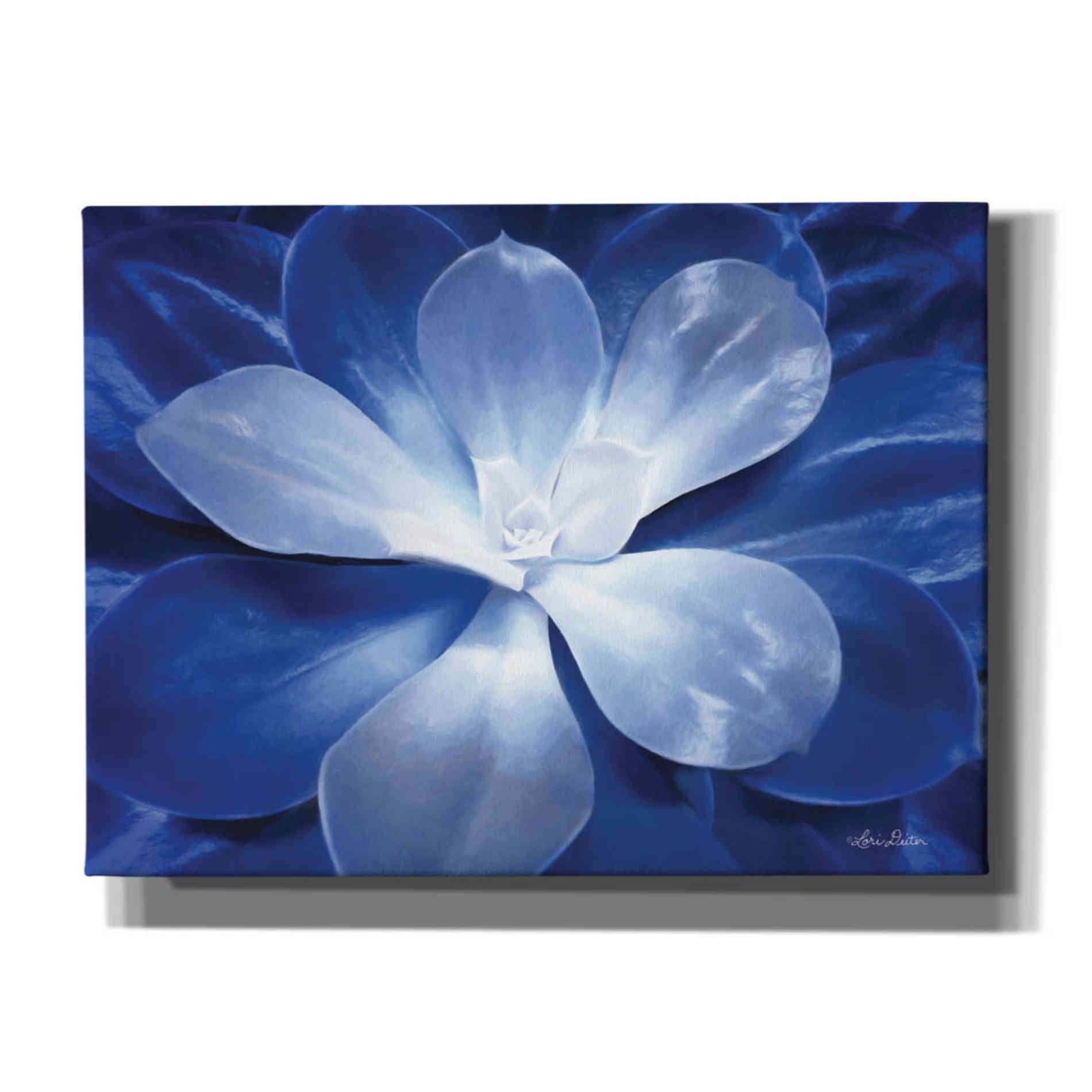 'Blue Succulent II' by Lori Deiter, Canvas Wall Art