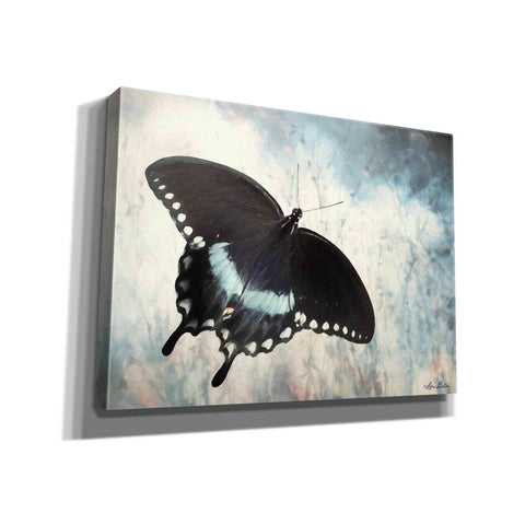 Image of 'Teal Butterfly I' by Lori Deiter, Canvas Wall Art