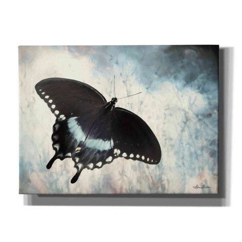 Image of 'Teal Butterfly I' by Lori Deiter, Canvas Wall Art