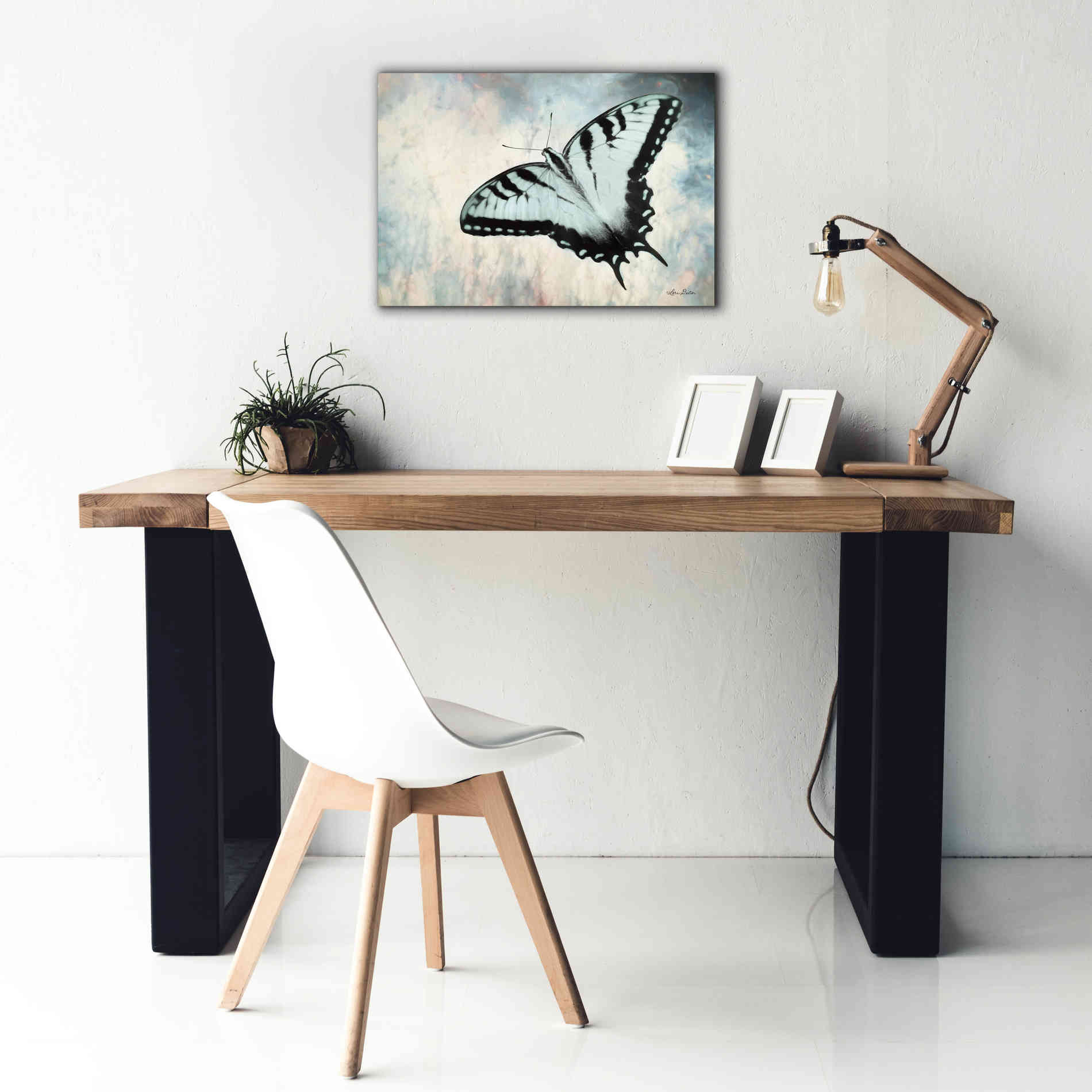 'Teal Butterfly II' by Lori Deiter, Canvas Wall Art,26 x 18