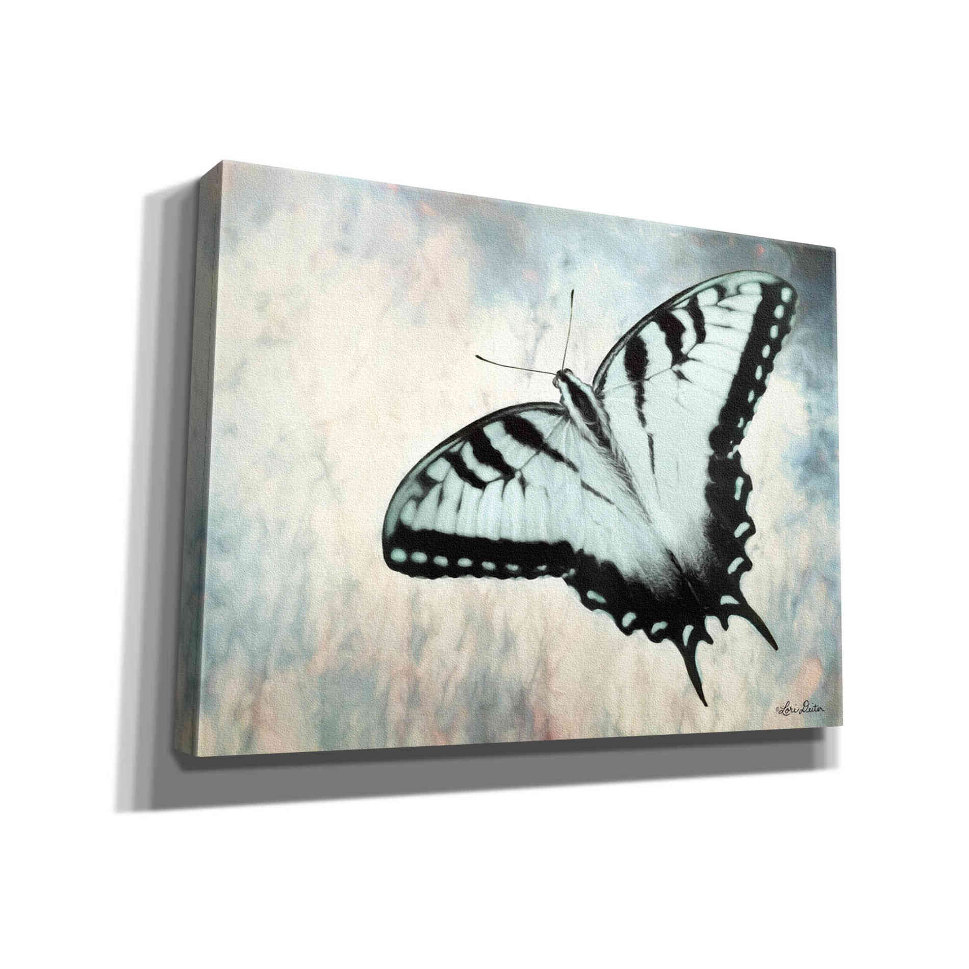 'Teal Butterfly II' by Lori Deiter, Canvas Wall Art