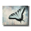 'Teal Butterfly II' by Lori Deiter, Canvas Wall Art