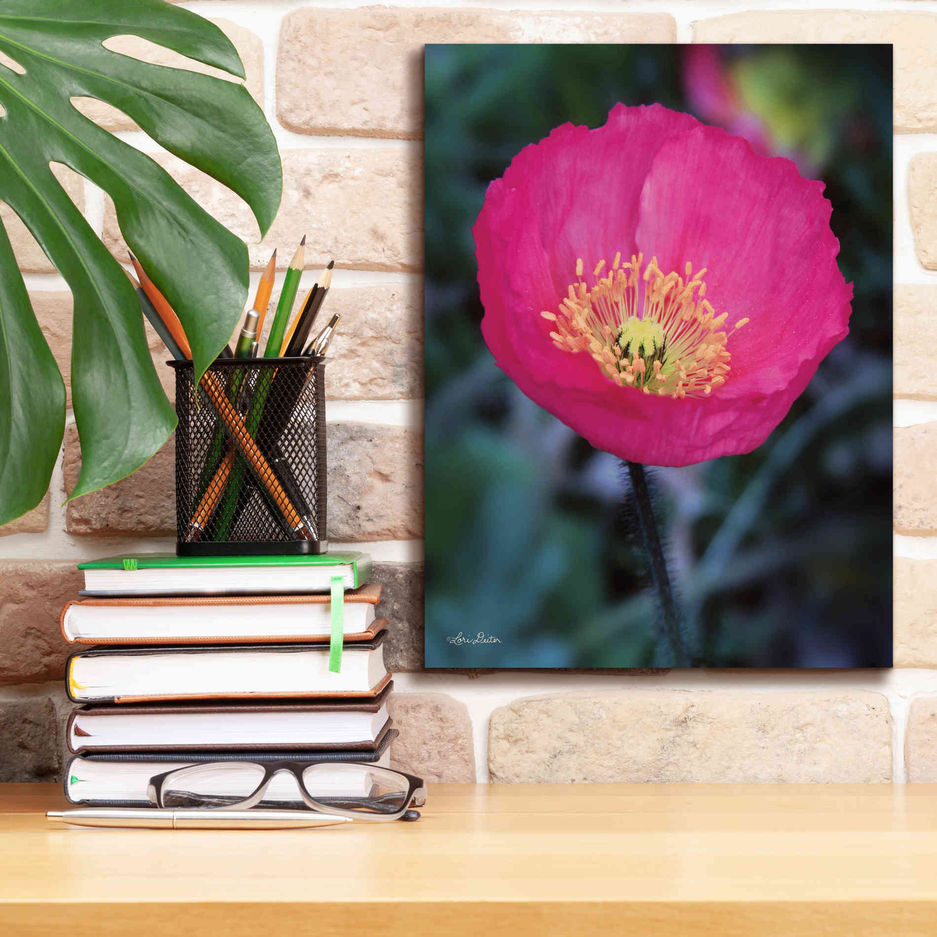 'Floral Pop I' by Lori Deiter, Canvas Wall Art,12 x 16