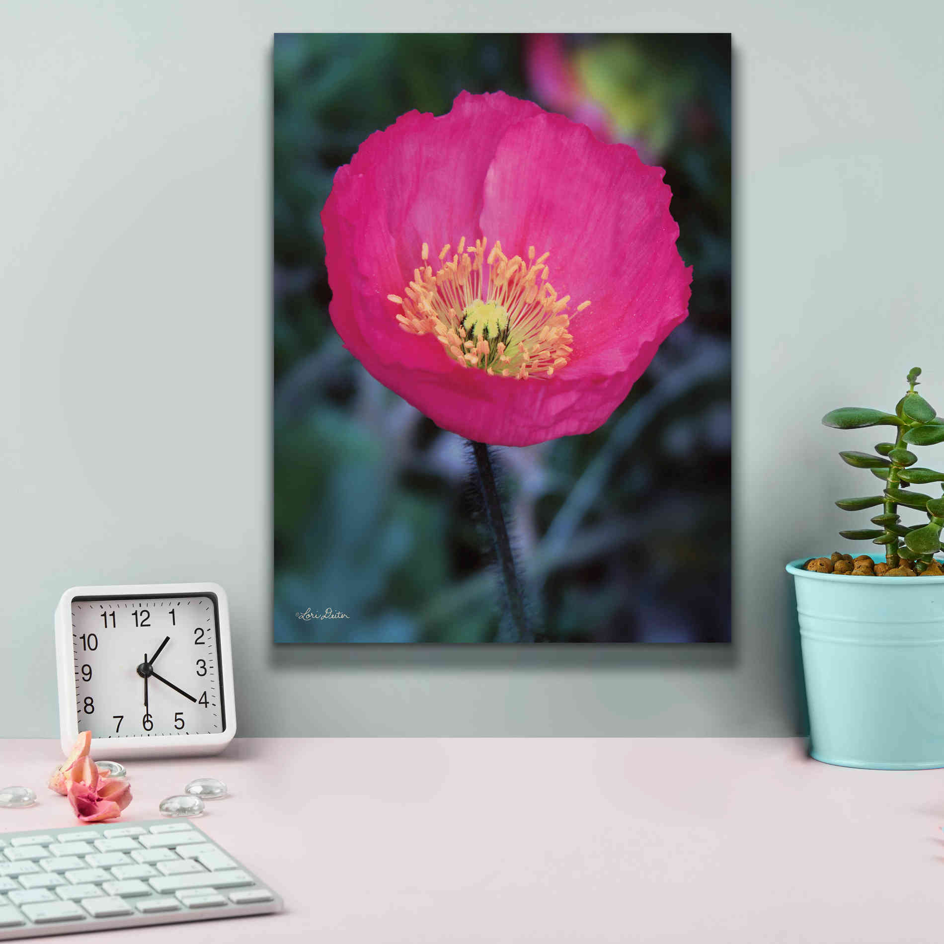 'Floral Pop I' by Lori Deiter, Canvas Wall Art,12 x 16