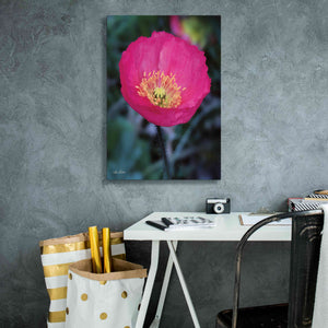 'Floral Pop I' by Lori Deiter, Canvas Wall Art,18 x 26