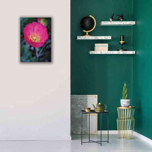 'Floral Pop I' by Lori Deiter, Canvas Wall Art,18 x 26