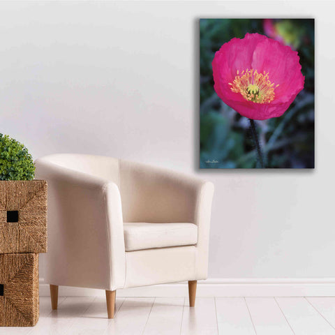 Image of 'Floral Pop I' by Lori Deiter, Canvas Wall Art,26 x 34