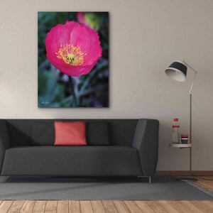 'Floral Pop I' by Lori Deiter, Canvas Wall Art,40 x 54