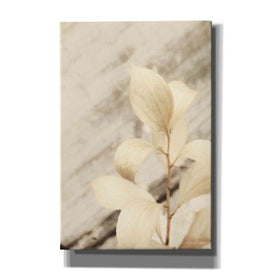 'Golden Leaves' by Lori Deiter, Canvas Wall Art