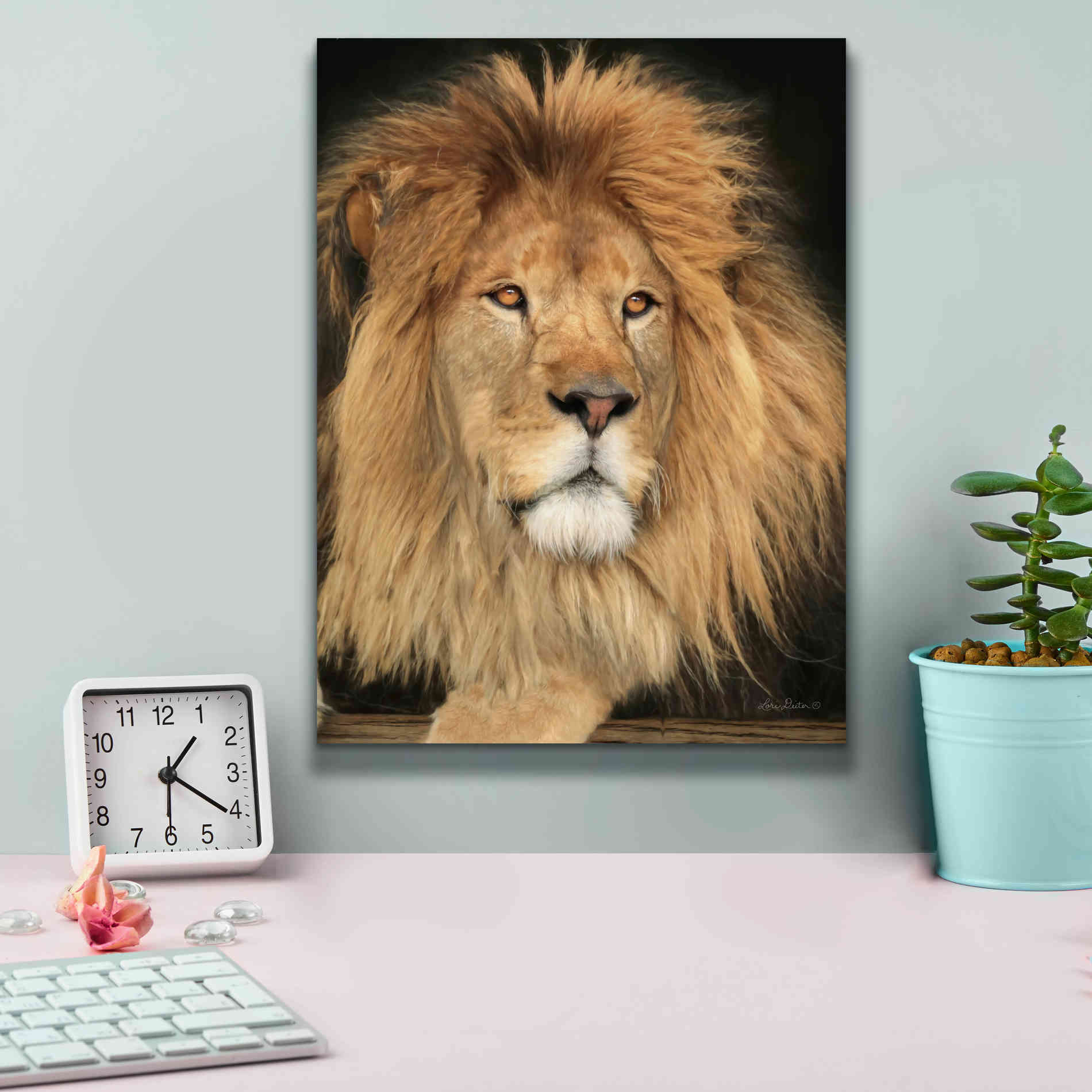 'King of the Jungle' by Lori Deiter, Canvas Wall Art,12 x 16