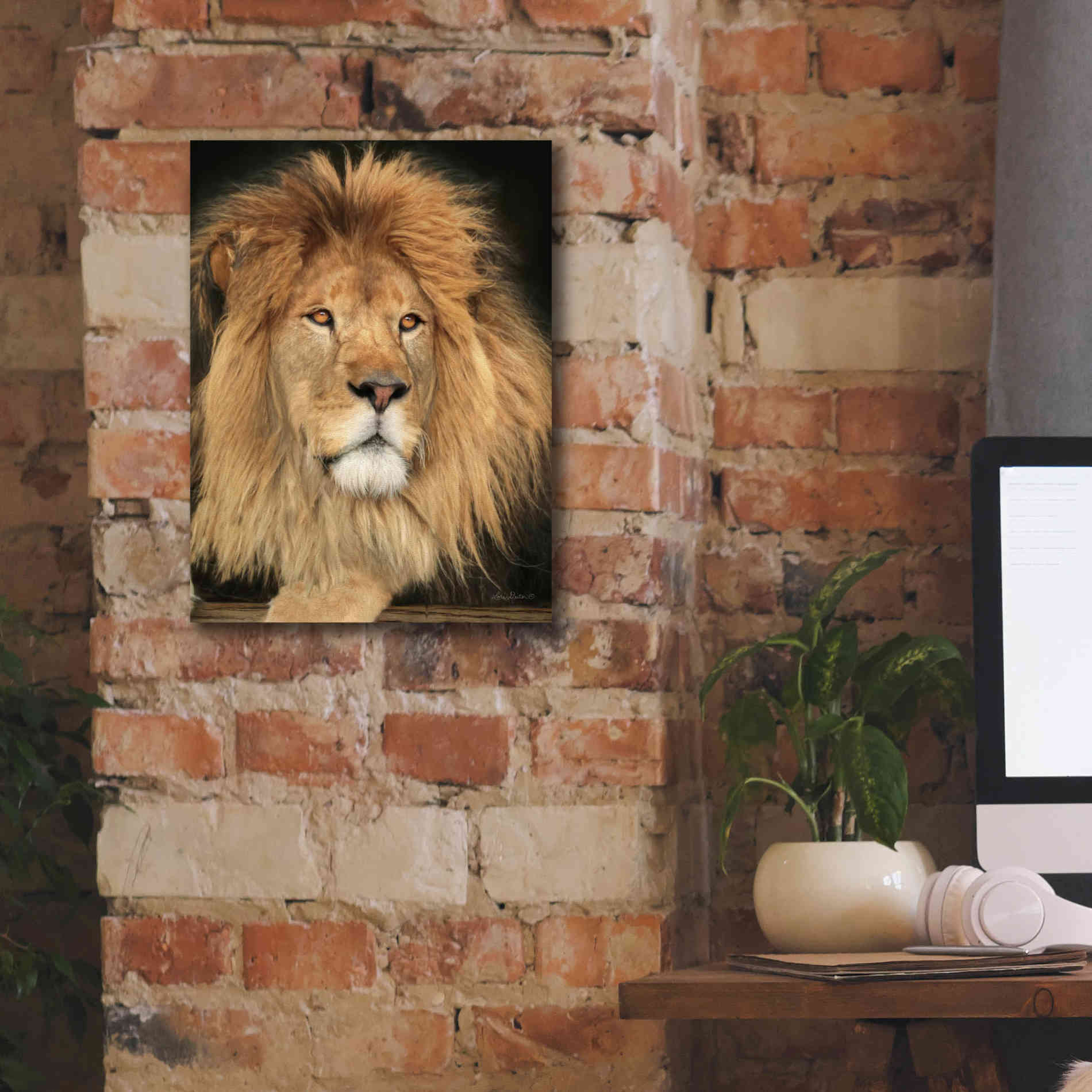 'King of the Jungle' by Lori Deiter, Canvas Wall Art,12 x 16