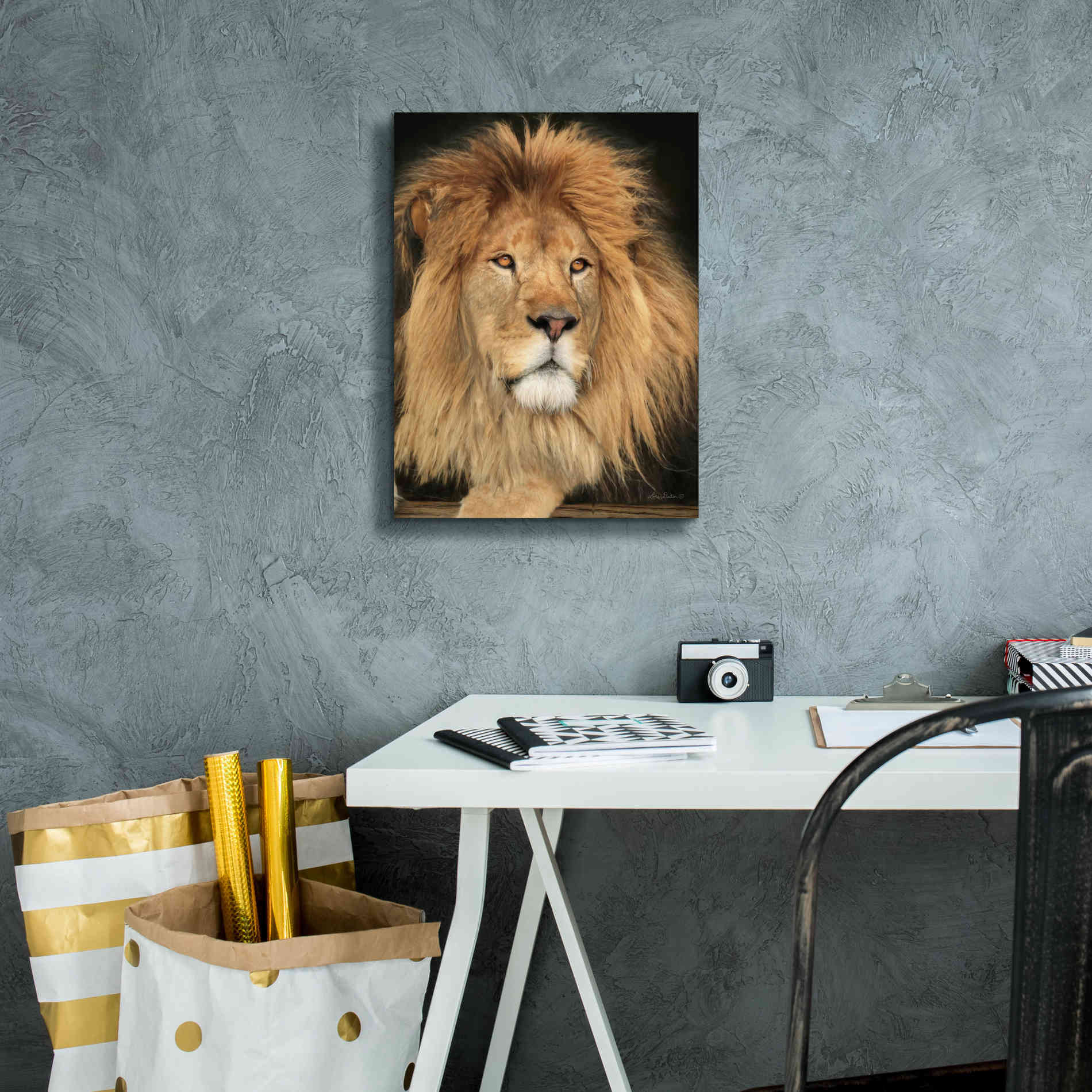 'King of the Jungle' by Lori Deiter, Canvas Wall Art,12 x 16