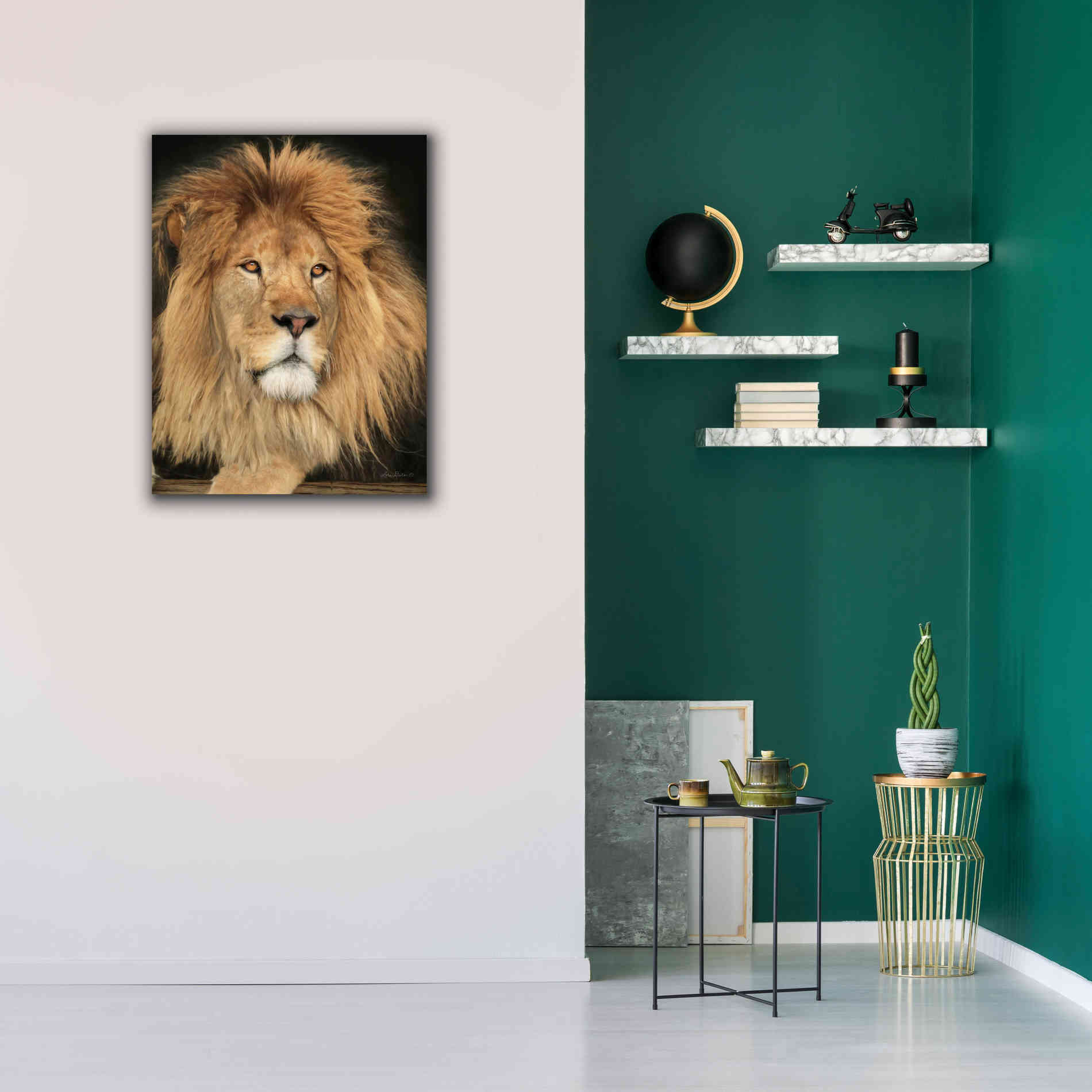 'King of the Jungle' by Lori Deiter, Canvas Wall Art,26 x 34