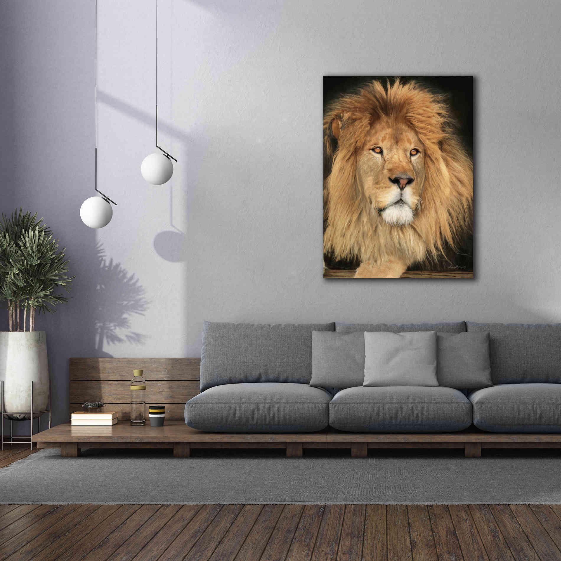 'King of the Jungle' by Lori Deiter, Canvas Wall Art,40 x 54