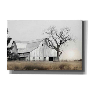 'Ohio Fields I' by Lori Deiter, Canvas Wall Art