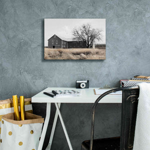 'Ohio Fields II' by Lori Deiter, Canvas Wall Art,18 x 12