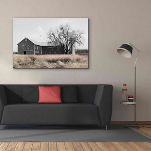 'Ohio Fields II' by Lori Deiter, Canvas Wall Art,60 x 40