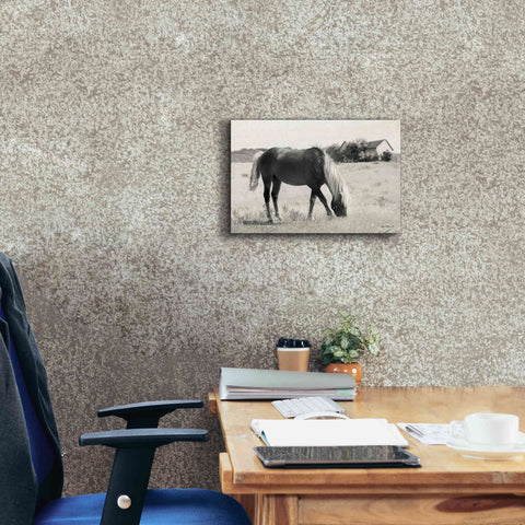 Image of 'Summer Grazing' by Lori Deiter, Canvas Wall Art,18 x 12