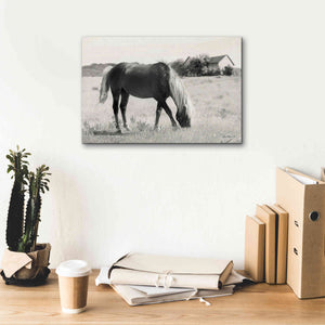'Summer Grazing' by Lori Deiter, Canvas Wall Art,18 x 12