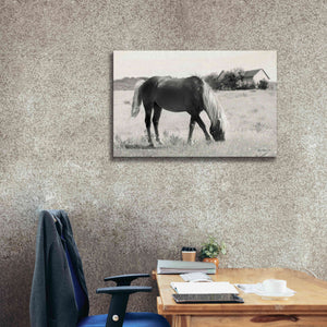 'Summer Grazing' by Lori Deiter, Canvas Wall Art,40 x 26