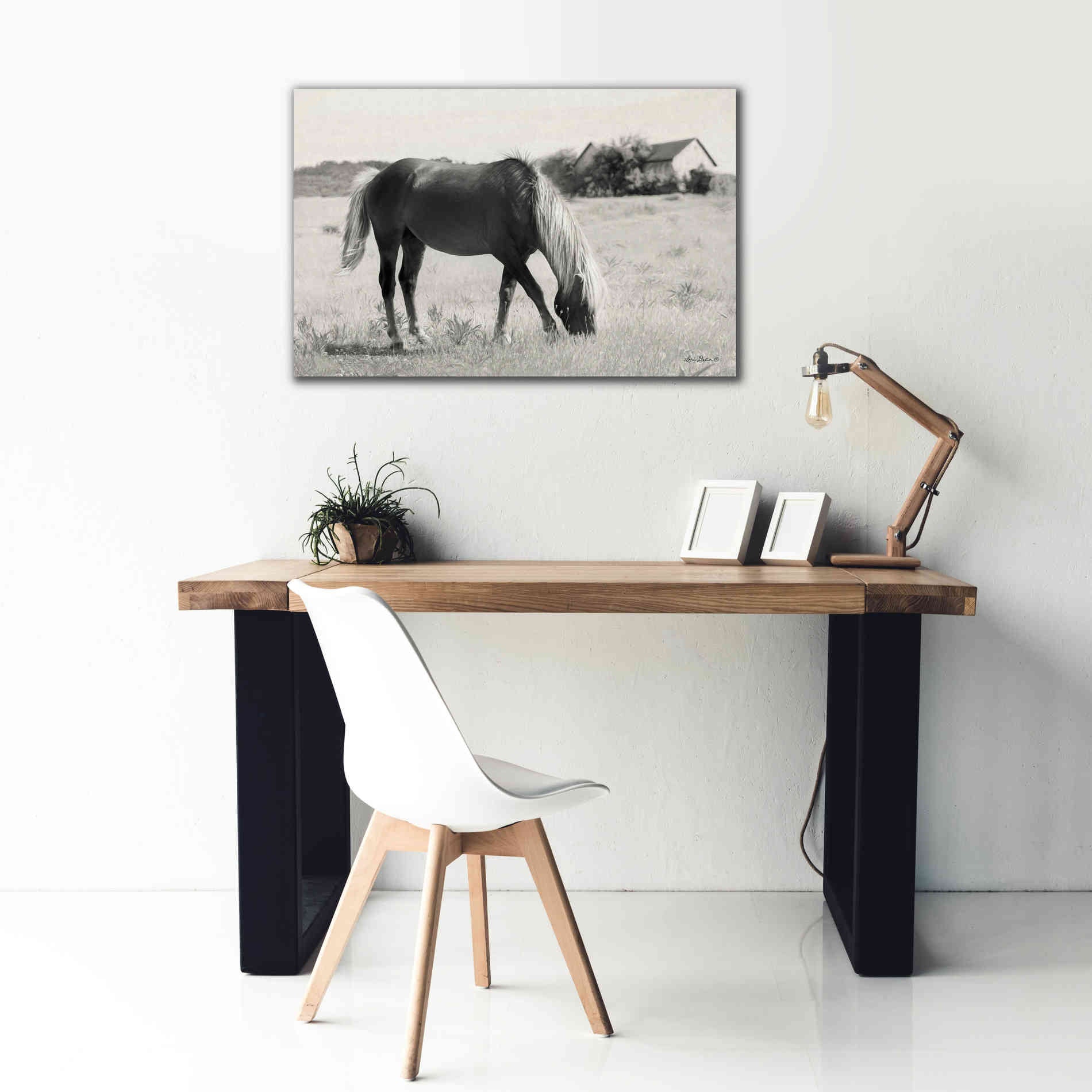 'Summer Grazing' by Lori Deiter, Canvas Wall Art,40 x 26