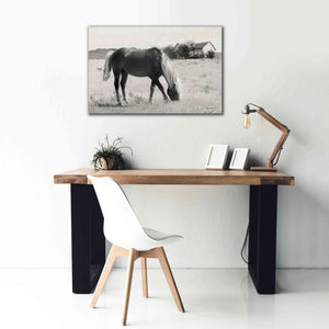 'Summer Grazing' by Lori Deiter, Canvas Wall Art,40 x 26