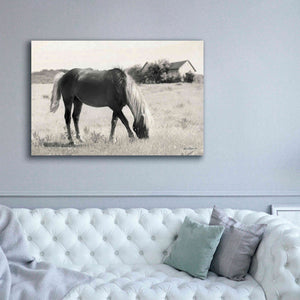 'Summer Grazing' by Lori Deiter, Canvas Wall Art,60 x 40