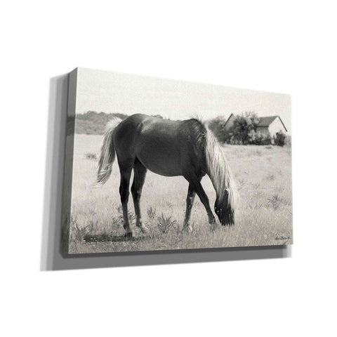 Image of 'Summer Grazing' by Lori Deiter, Canvas Wall Art