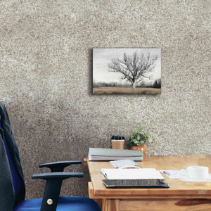 'Earth & Sky' by Lori Deiter, Canvas Wall Art,18 x 12