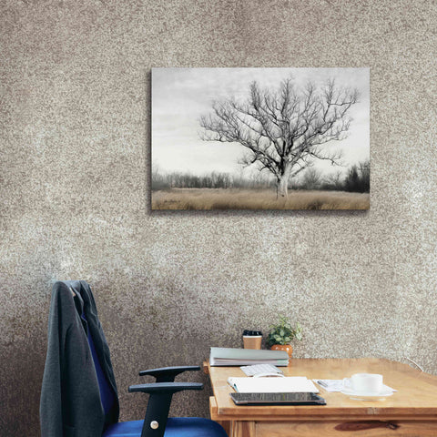 Image of 'Earth & Sky' by Lori Deiter, Canvas Wall Art,40 x 26
