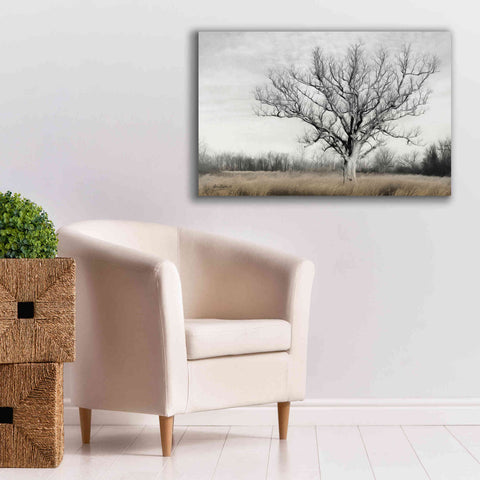 Image of 'Earth & Sky' by Lori Deiter, Canvas Wall Art,40 x 26