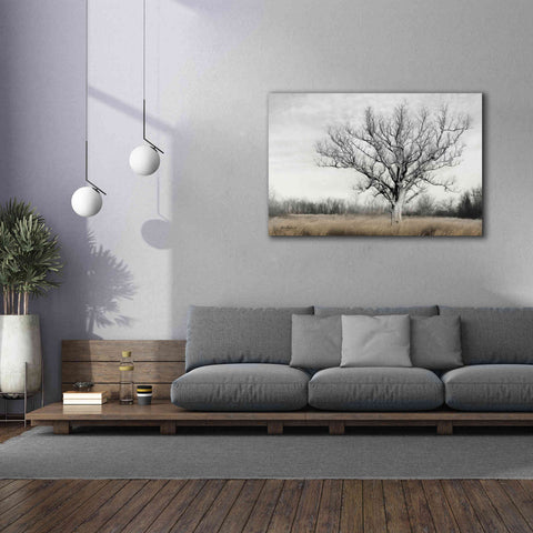 Image of 'Earth & Sky' by Lori Deiter, Canvas Wall Art,60 x 40