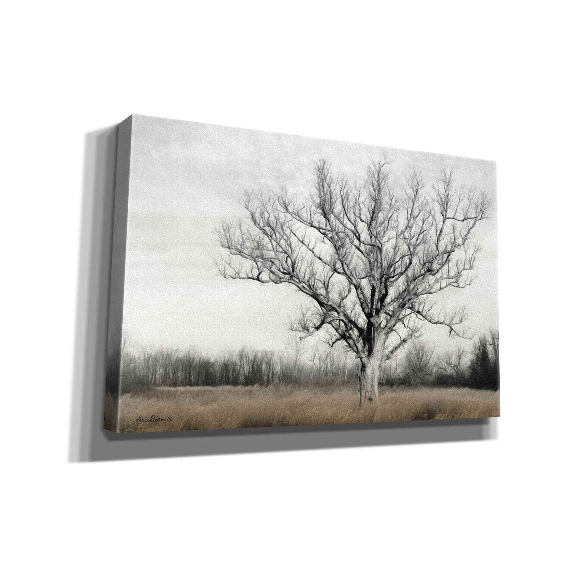 'Earth & Sky' by Lori Deiter, Canvas Wall Art